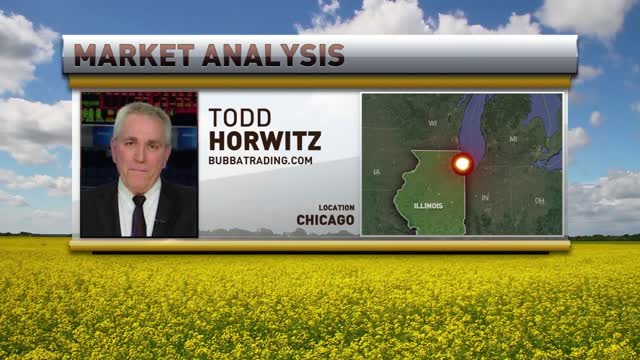 Markets Quiet - Going Nowhere Fast