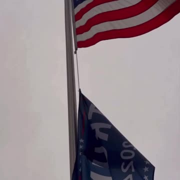 Post From The Man Dan (Scavino) | Check Description For Details 🔍🐸