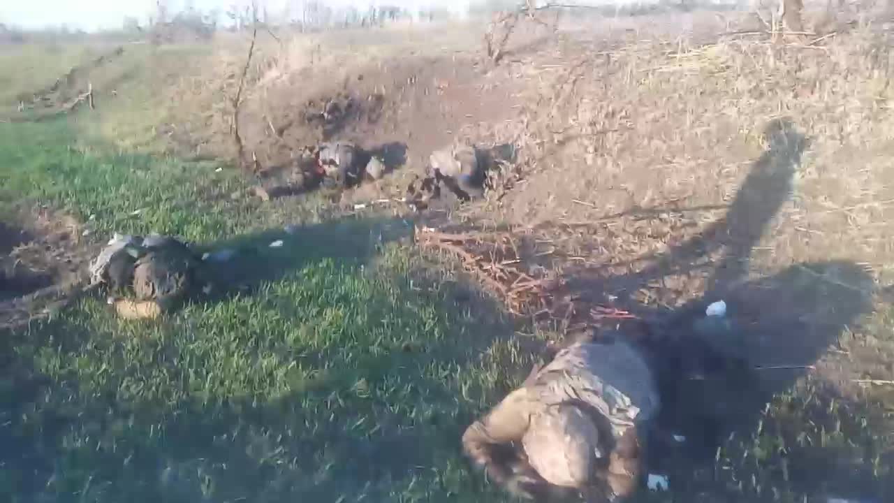 Plenty of denazified Ukrops in Donbass