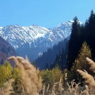 Mindful Walking Meditation for Grounding and Centering 🚶‍♂️ #meditation #mindfulness #shorts