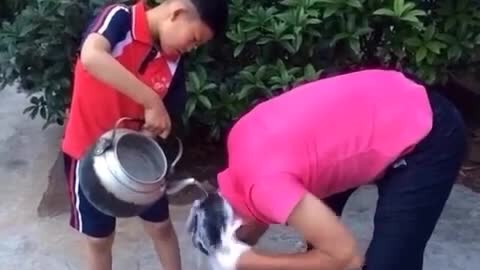 malicious boy pouring water for his younger brother funny video