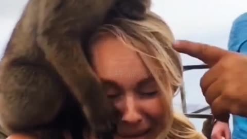 Beautiful woman being pranked by animals