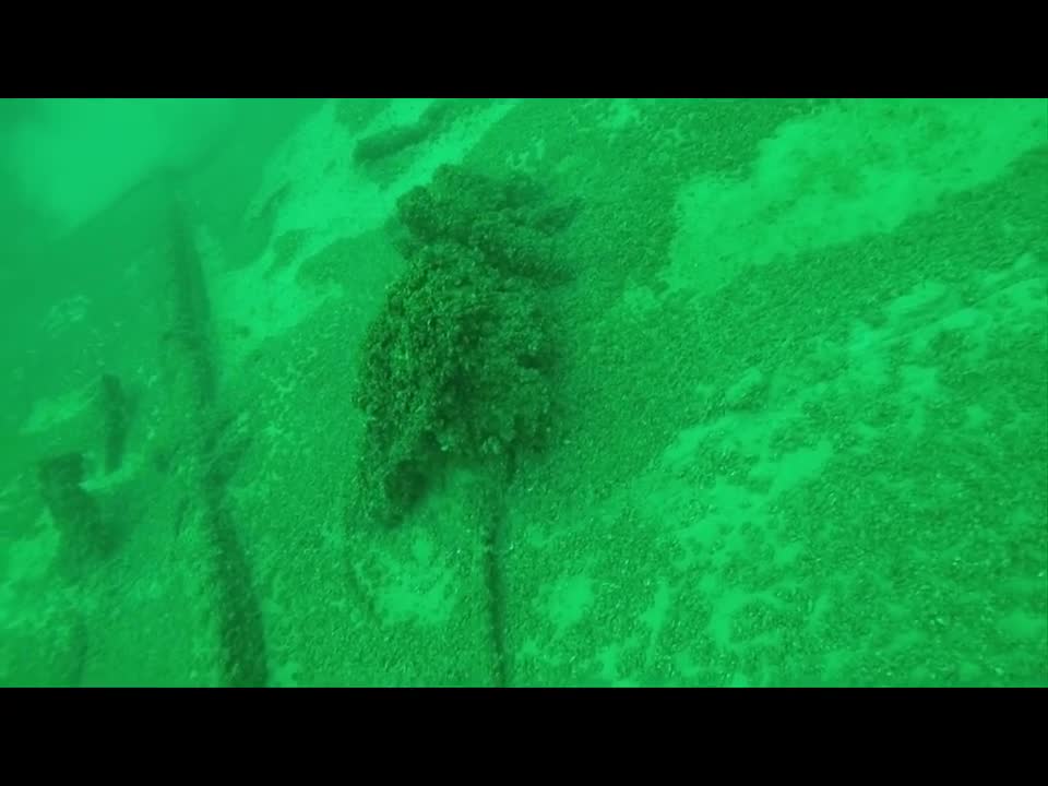 Francie Shipwreck Dive 7-11-2016