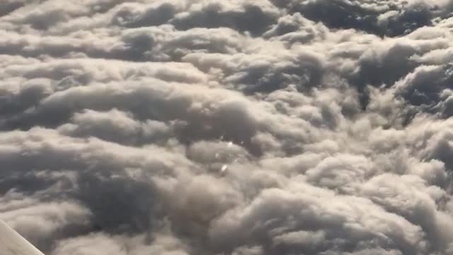 A cotton candy cloud