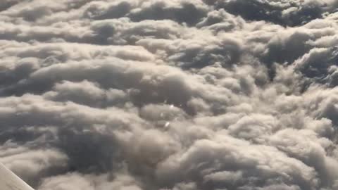 A cotton candy cloud