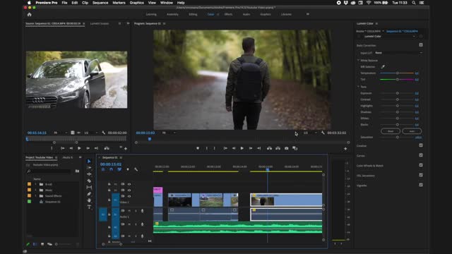 Premiere Pro Tutorial for Beginners 2021 - Everything You NEED to know