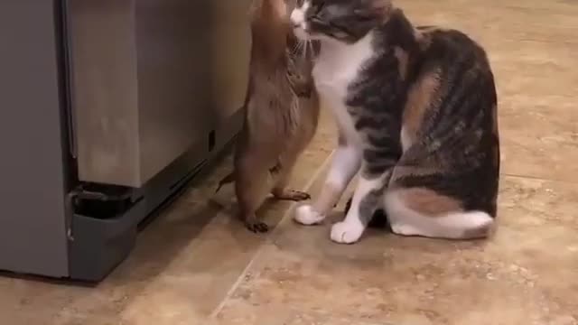 Wait let me clean you!
