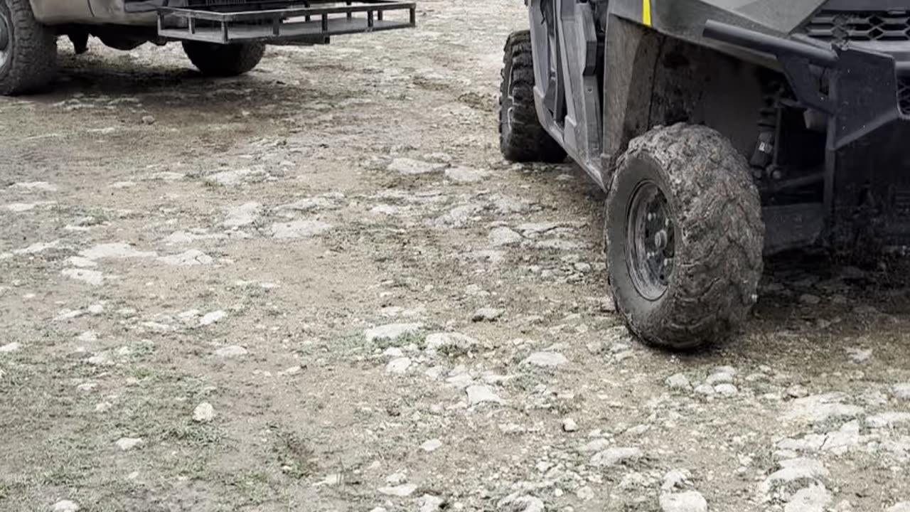 BIG BUCK IN CAMP