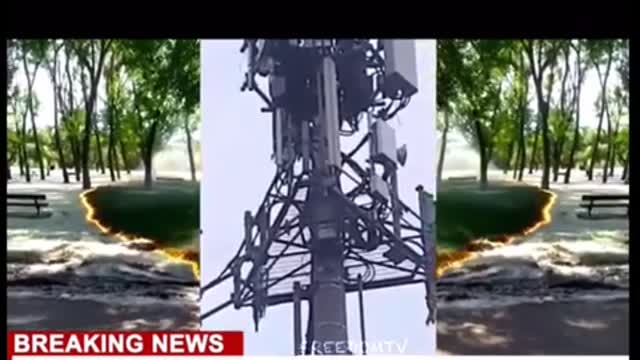 Patriot birds and based lady take out five g tower and shoots at workers .