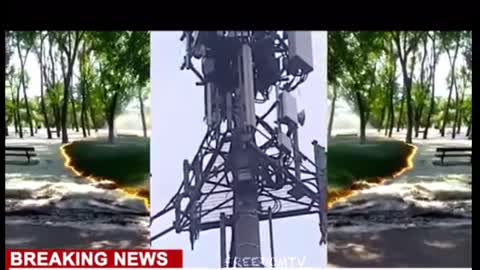 Patriot birds and based lady take out five g tower and shoots at workers .