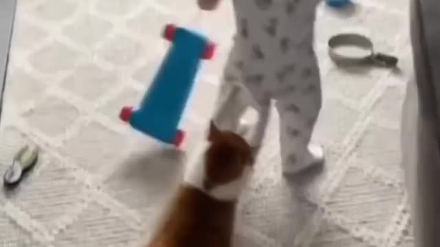 Funny cat playing with cute baby