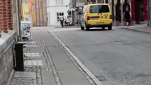 Drunk man Hit a Dog In Denmark