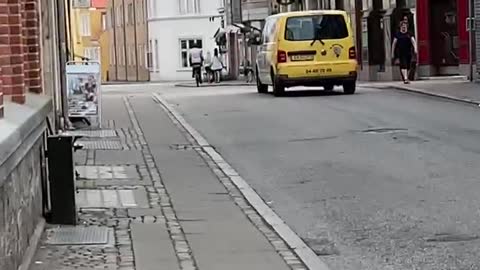 Drunk man Hit a Dog In Denmark