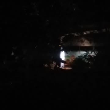 24.11.2024 Party in the Park, Kuranda (4)