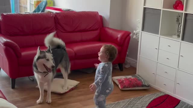 Baby and dog playing