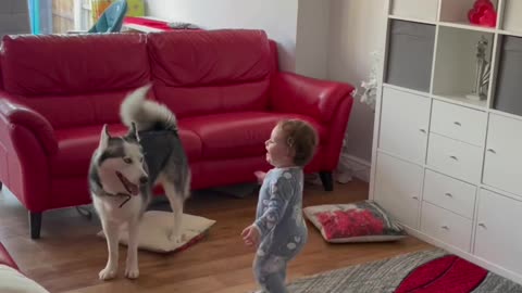 Baby and dog playing