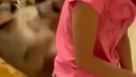 🤣It was funny🤣
