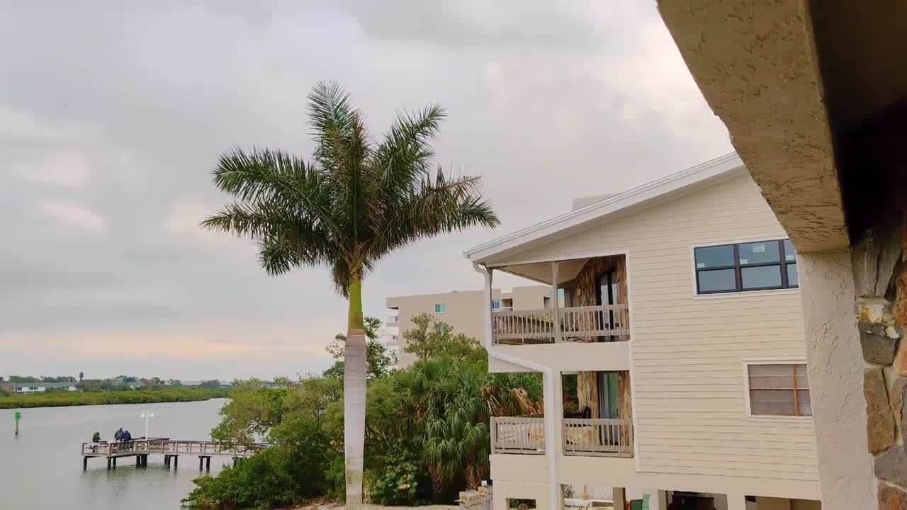 Dolphins Spotted At - Indian Rocks Beach, Florida