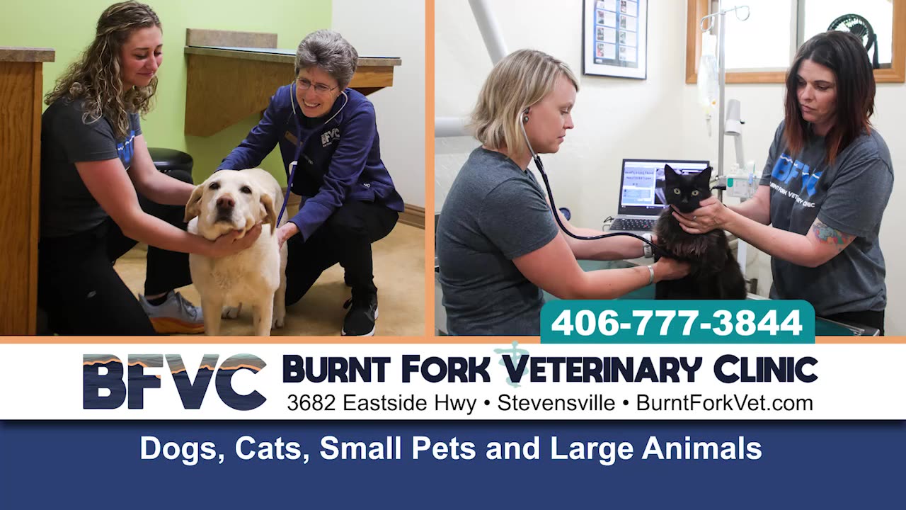 Burnt Fork Vet