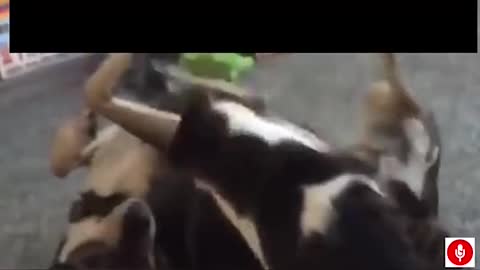 Quando ela quer