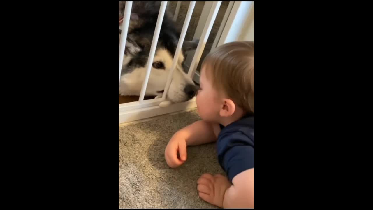 Little Baby shares special bond with his dog