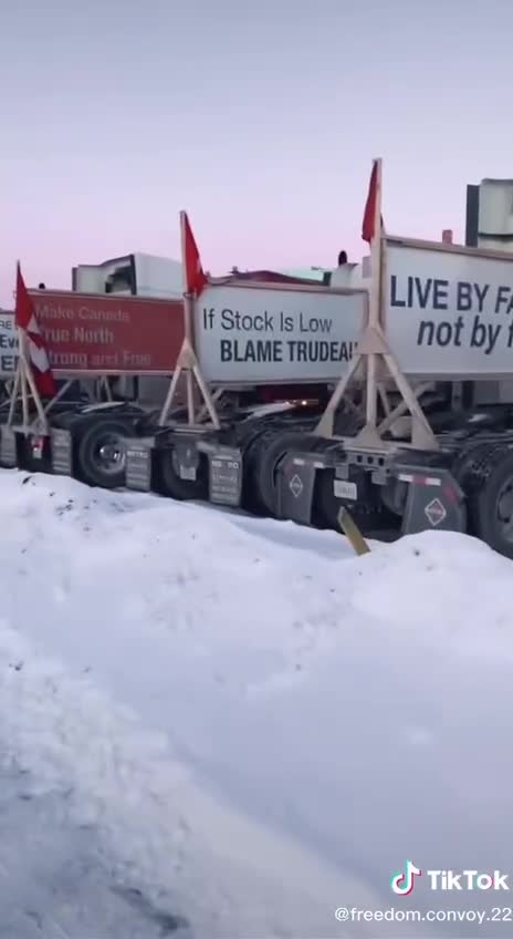 If Stock is Low, Blame Trudeau