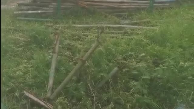 Two Large Snakes Mating in Construction Site