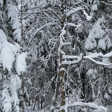 Million dollar views.