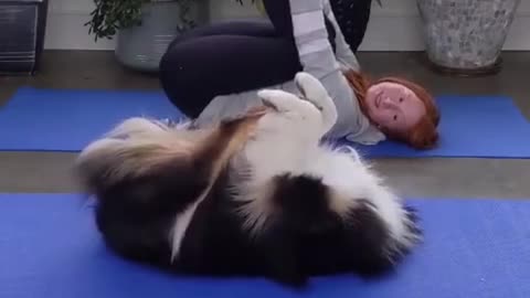The dog 🐶 is doing yoga with the girl