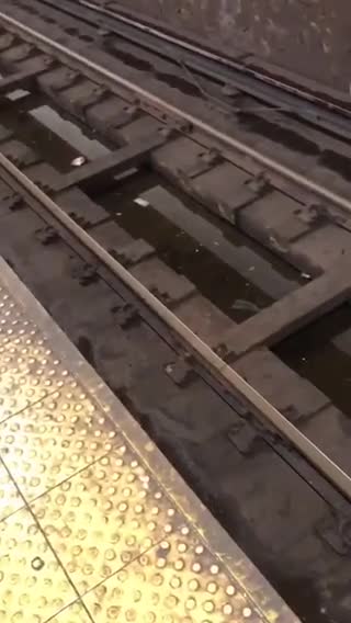 Money on the train tracks of subway