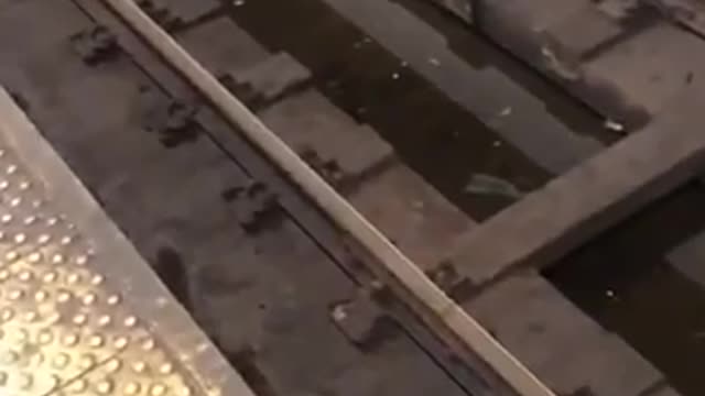 Money on the train tracks of subway