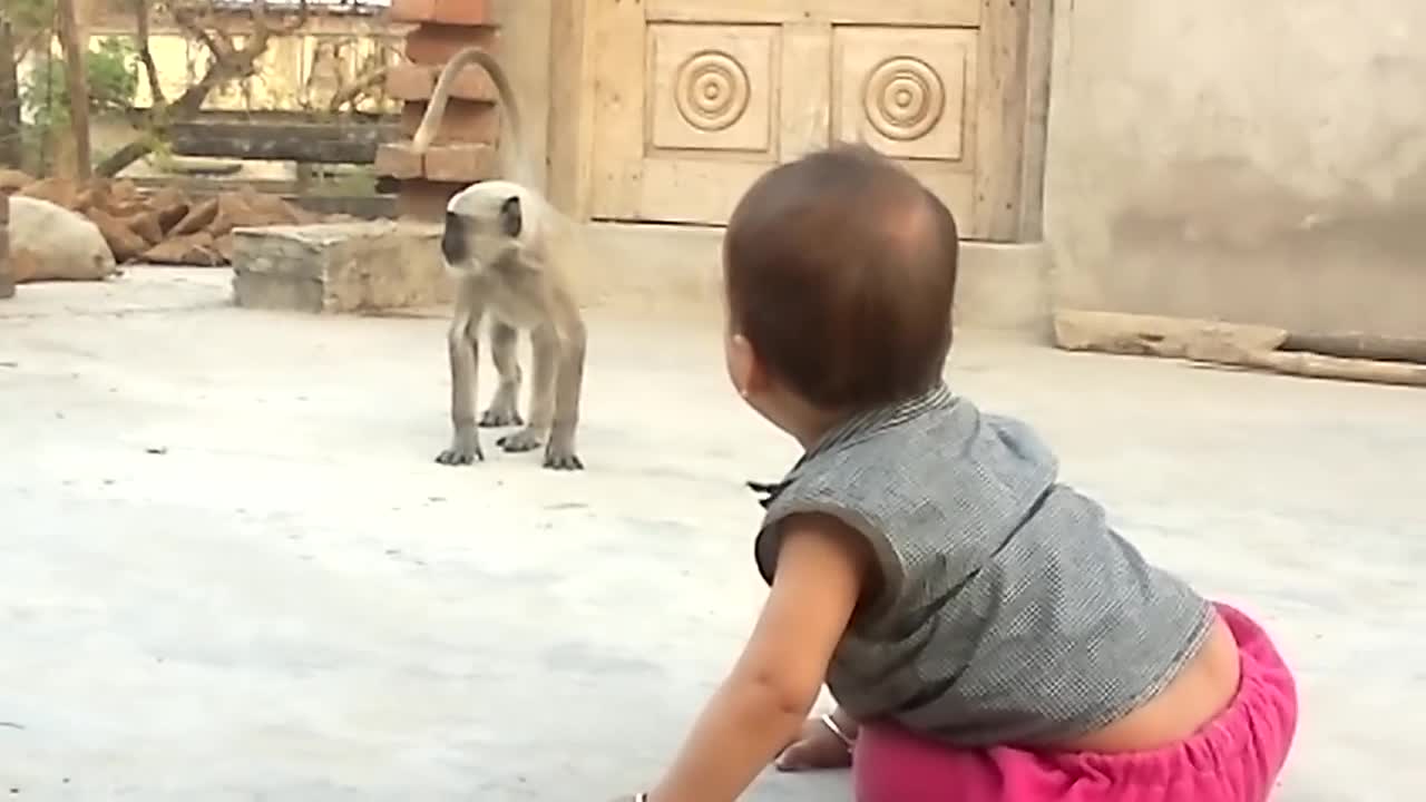Monkey playing with child (original)