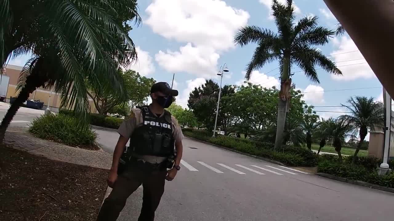 Police React to Man Filming Them at Traffic Stop