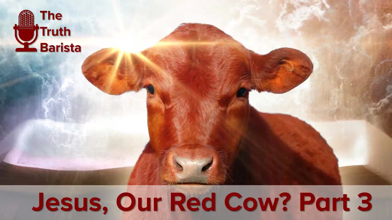 Jesus, Our Red Cow? Part 3