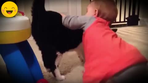 baby and dog fun