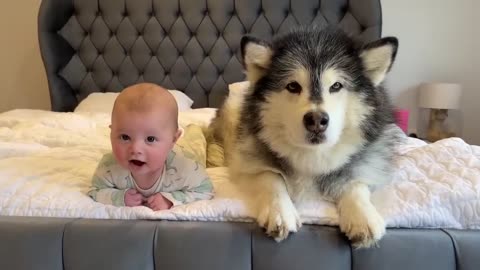 Adorable Baby Bond with Cute Dog