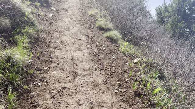 Expansive Alpine Views while Ascending Black Butte Trail – Central Oregon – 4K