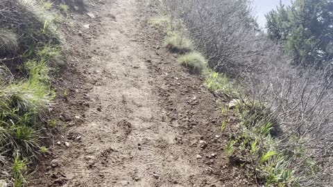 Expansive Alpine Views while Ascending Black Butte Trail – Central Oregon – 4K