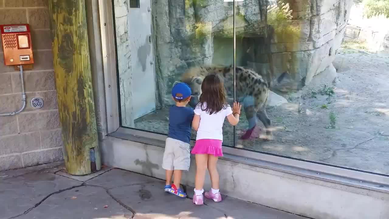 Funny Babies At The Zoo | TRY NOT TO LAUGH