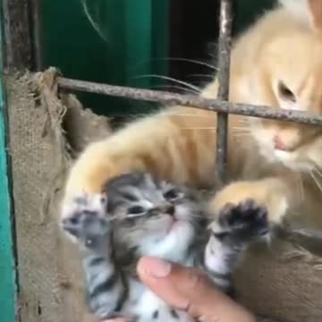 Trying to pull closer by looking out the window