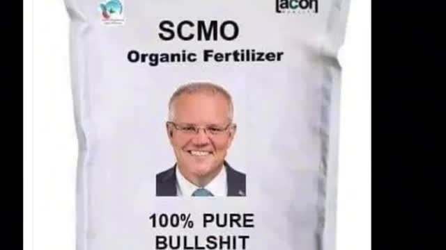 Scott Morrison - 100% Bull....