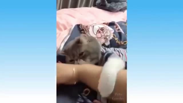 Kitty Don't Want To Let Go