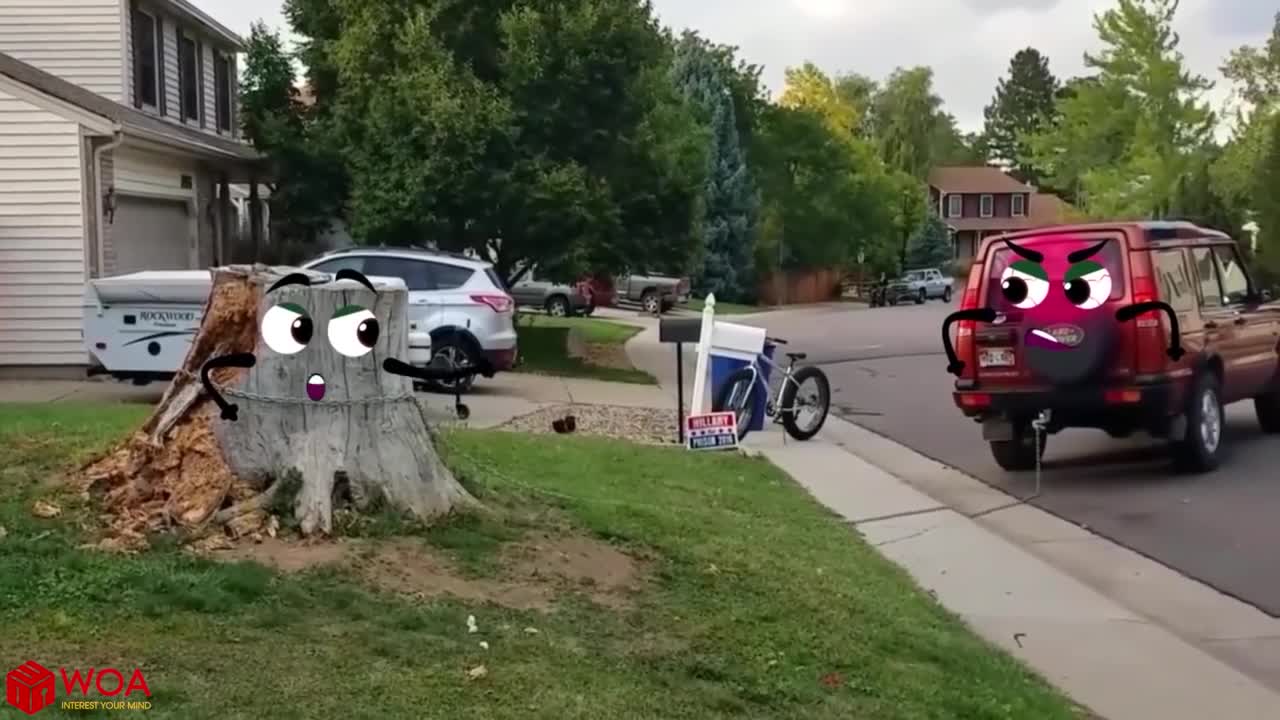 Elefante ataca carro | Wild Animal Elephant Attacks Car