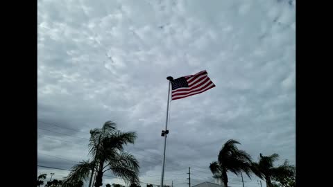 Freedom Flag Blowing in the Wind