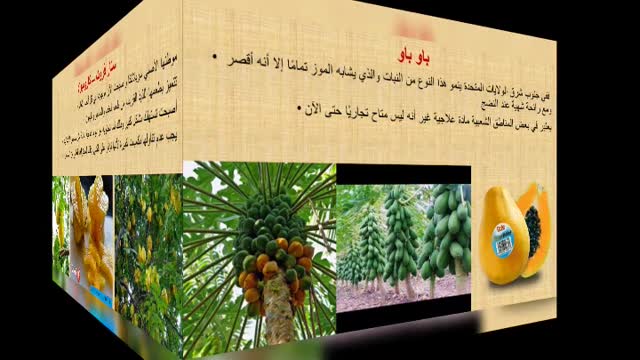 Stranger fruits
