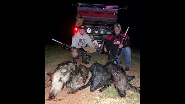 Night Hunting Hogs