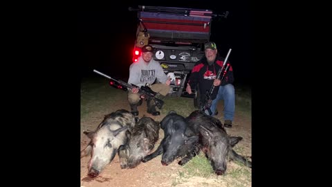 Night Hunting Hogs