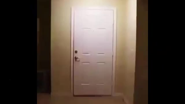 Sesame Street Gets Lit