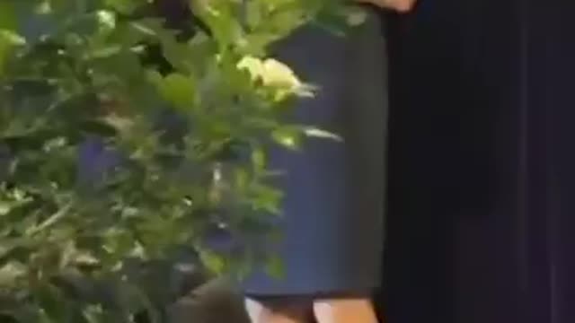 Pauline Hanson, senatrice del Queensland