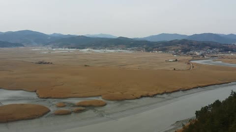 a beautiful view of Suncheonman Bay